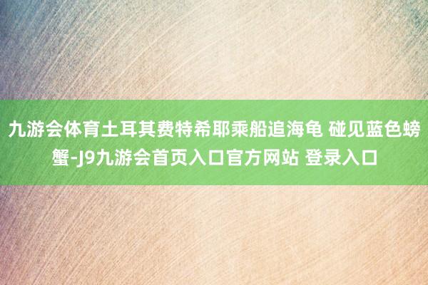 九游会体育土耳其费特希耶乘船追海龟 碰见蓝色螃蟹-J9九游会首页入口官方网站 登录入口